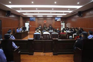 惠州博羅法院公開審理惡勢力團伙“軟暴力”催債案件，揭示擔保行業(yè)潛規(guī)則